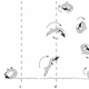 Image for article titled The beetle that also invented the wheel
